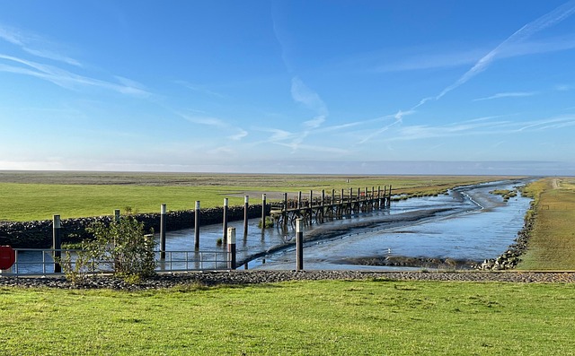 Weekendtur til Esbjerg og vadehavskysten for begyndere